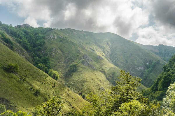Discover the Authentic Flavors of Scotland: Your Guide to Experiencing a Traditional Haggis Tasting Event!