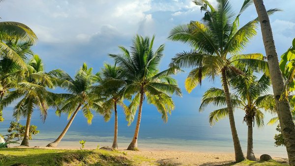 Experience Edinburgh"s Vibrant Cultural Festivals Without Breaking the Bank: A Budget-Friendly Guide